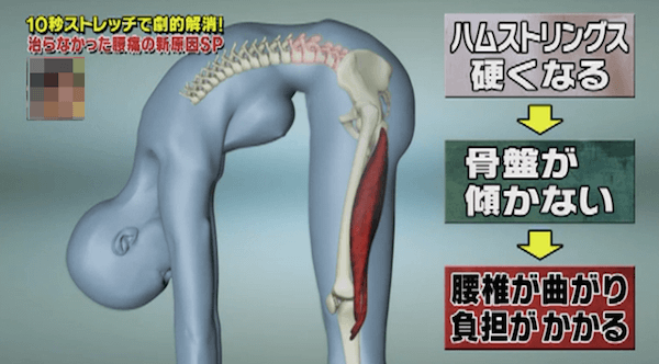 タイトハム ロードバイク物語 無謀な初心者編